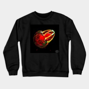 Read Jellyfish Crewneck Sweatshirt